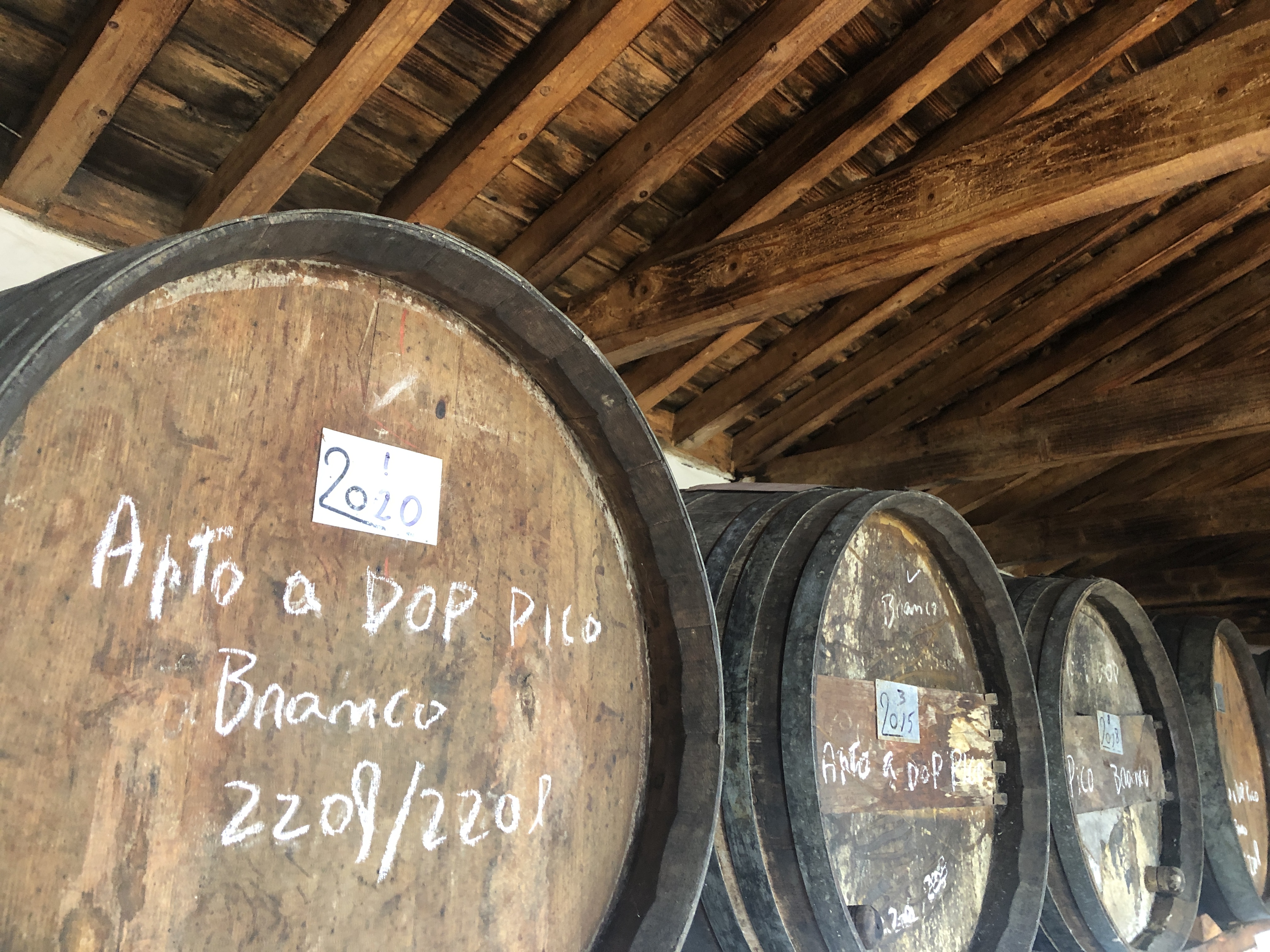 Oude eikenhouten vaten