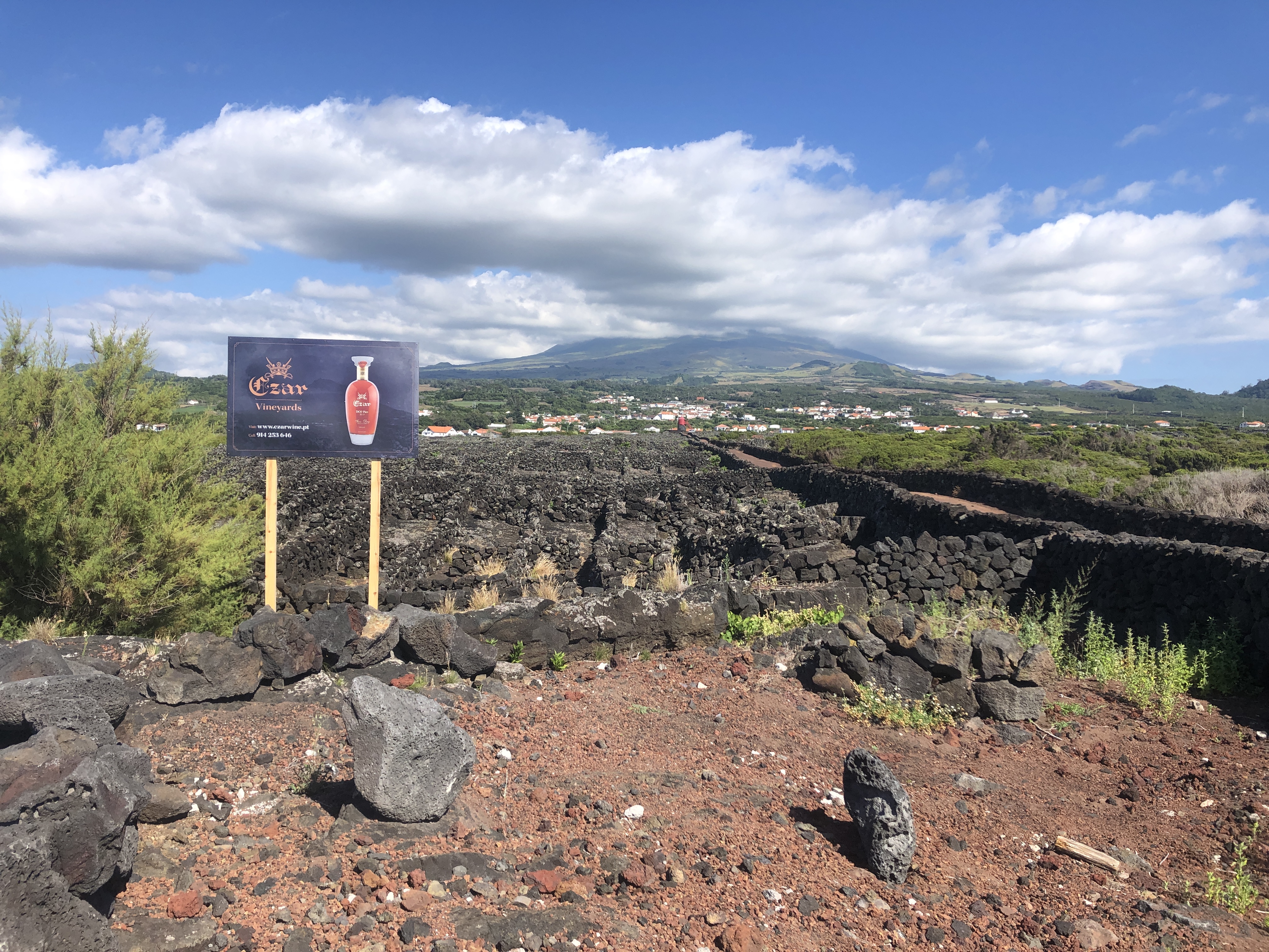 Wijngaarden op de vulkaan